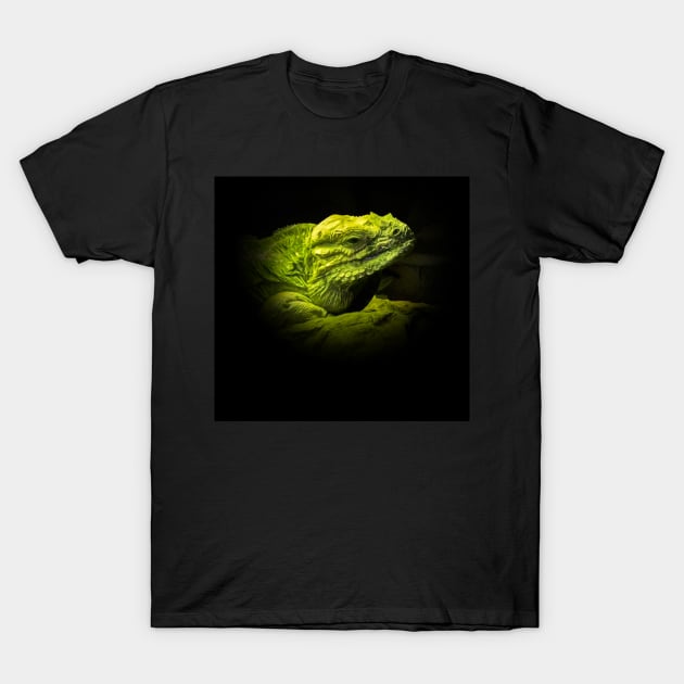 Iguana T-Shirt by Guardi